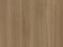 GS